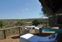 Leopard Hills deck and plunge pool